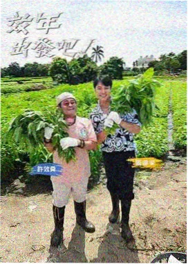中国好声音 高清影视免费观看